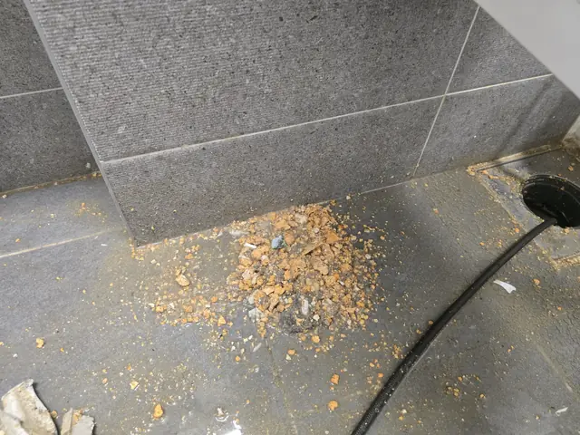 배관내시경진단 업체 안내 카드 썸네일
